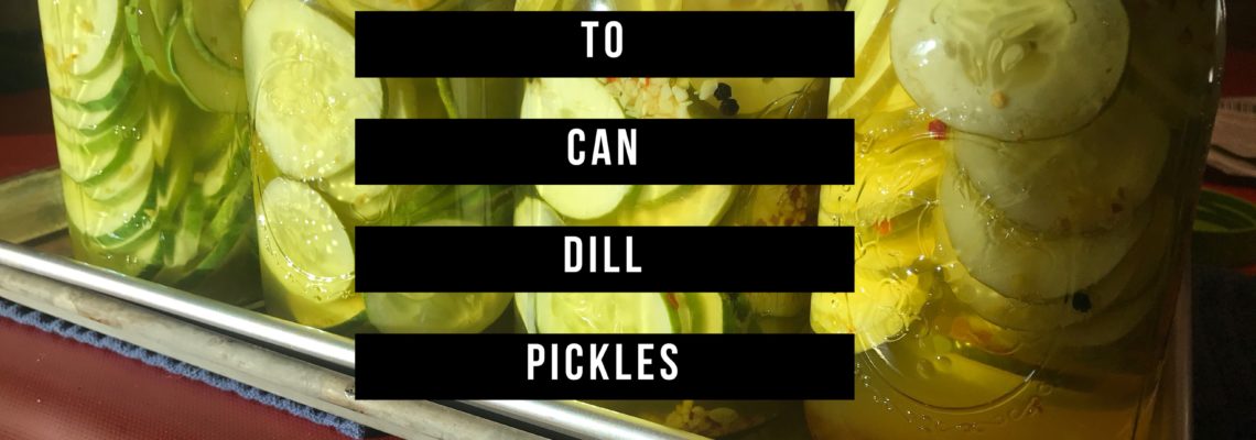 How to Can Dill Pickles