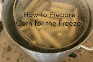 How to Prepare Corn for the Freezer